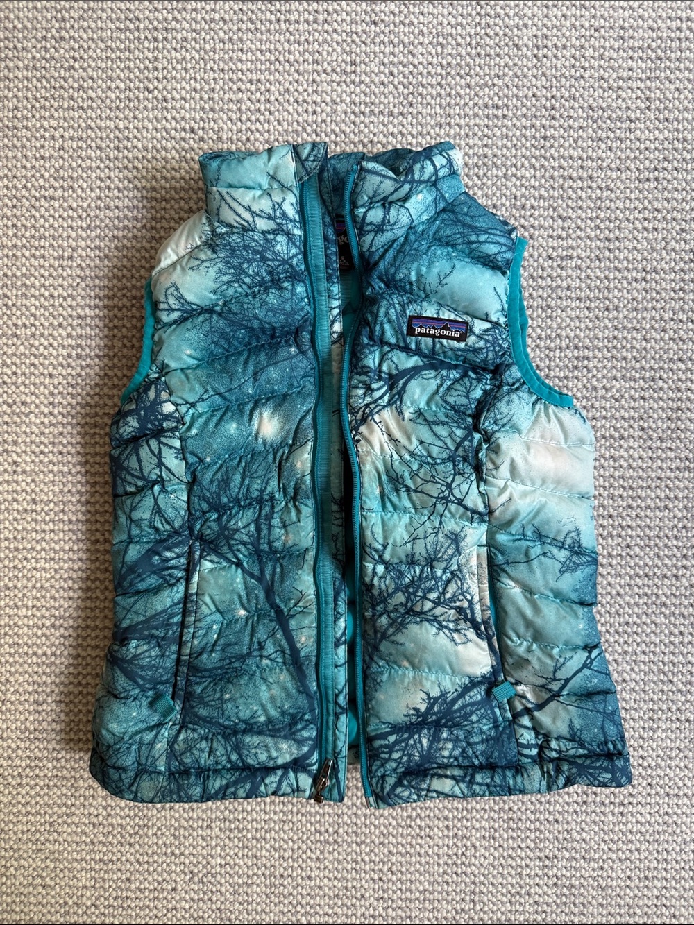 Patagonia Teal and Aqua Tree-Print Insulated Vest